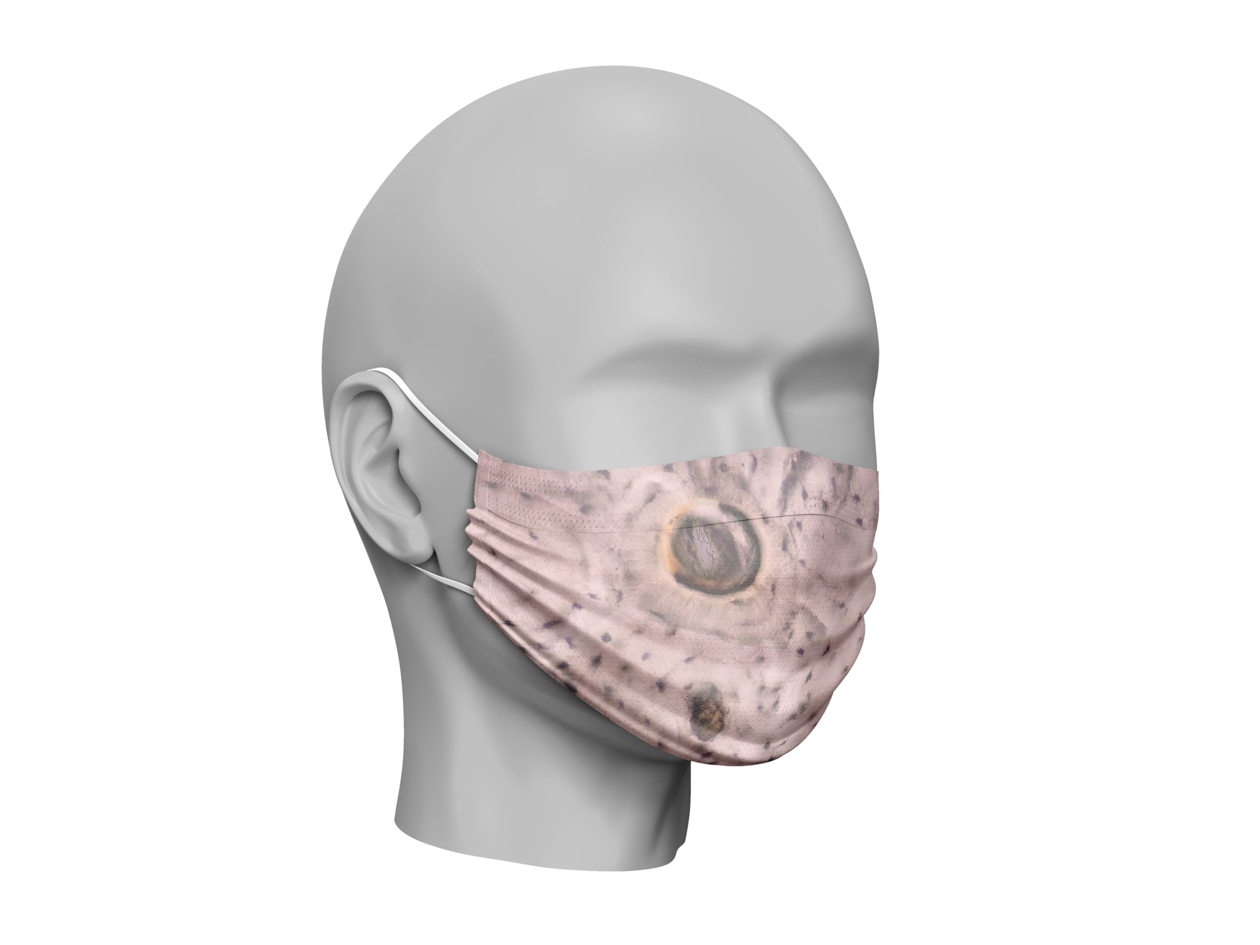 Dummy Mask Bone Histology