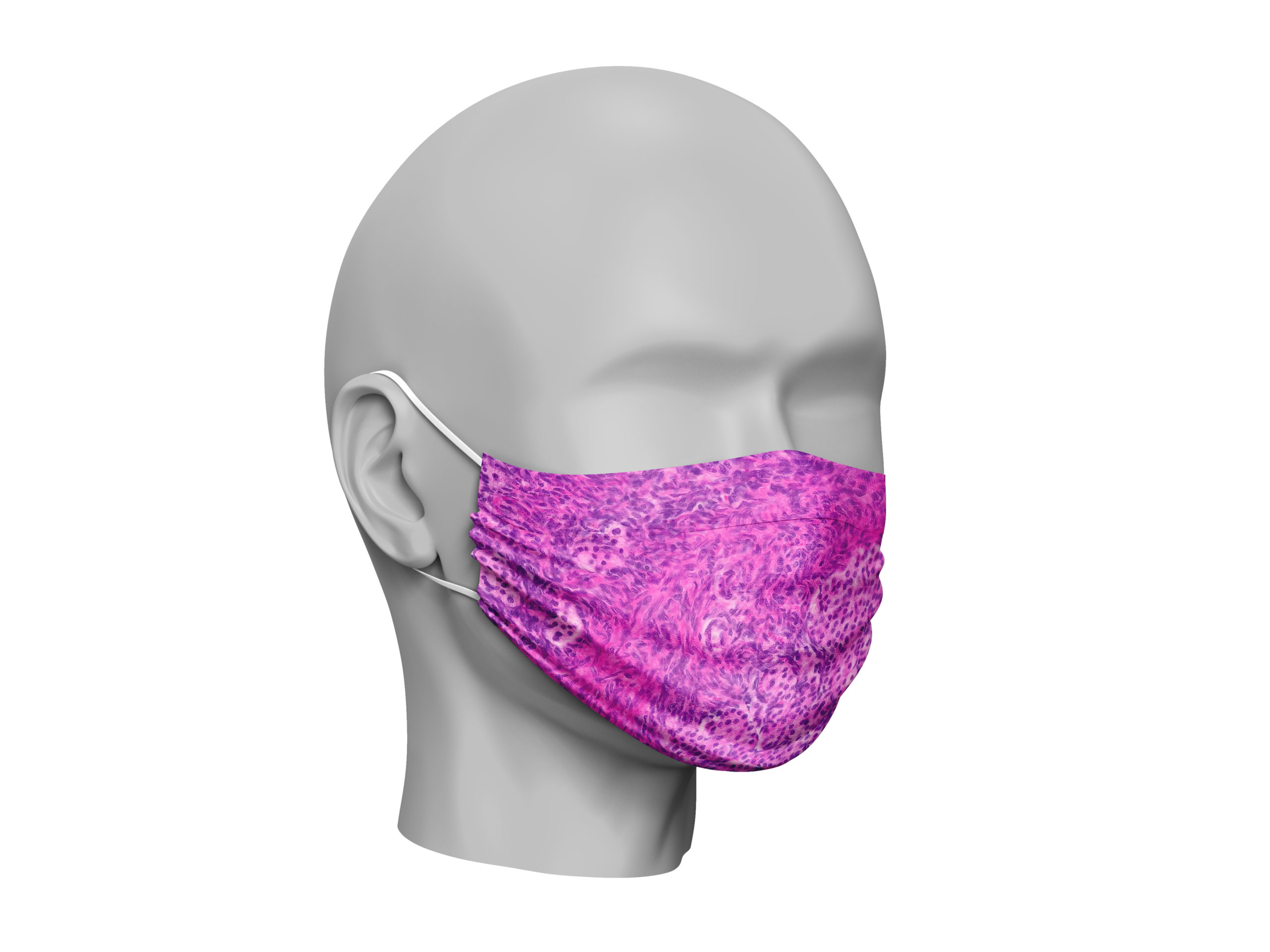 Dummy Mask Female Ovary Histology