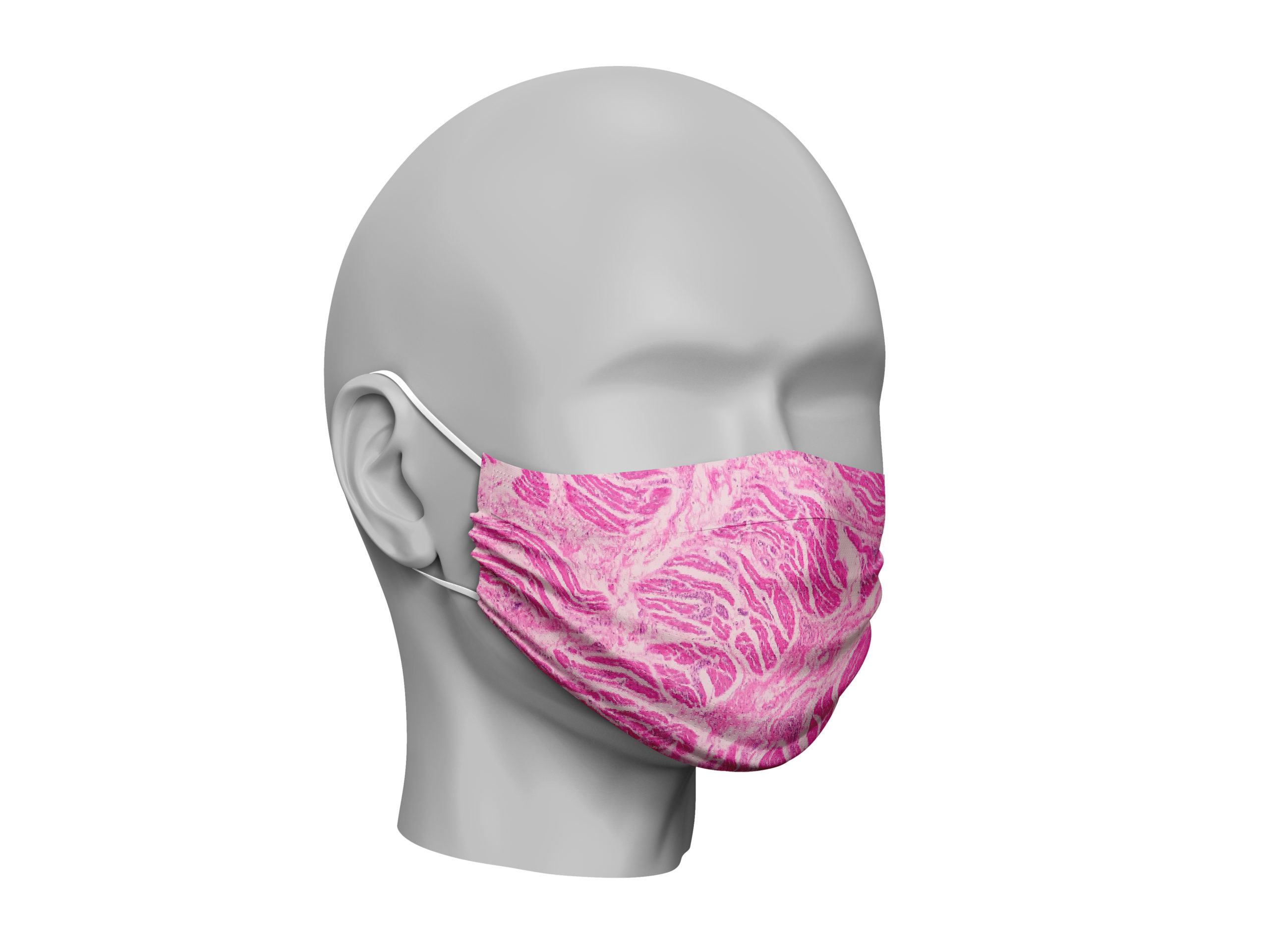 Dummy Mask Human Tongue Histology